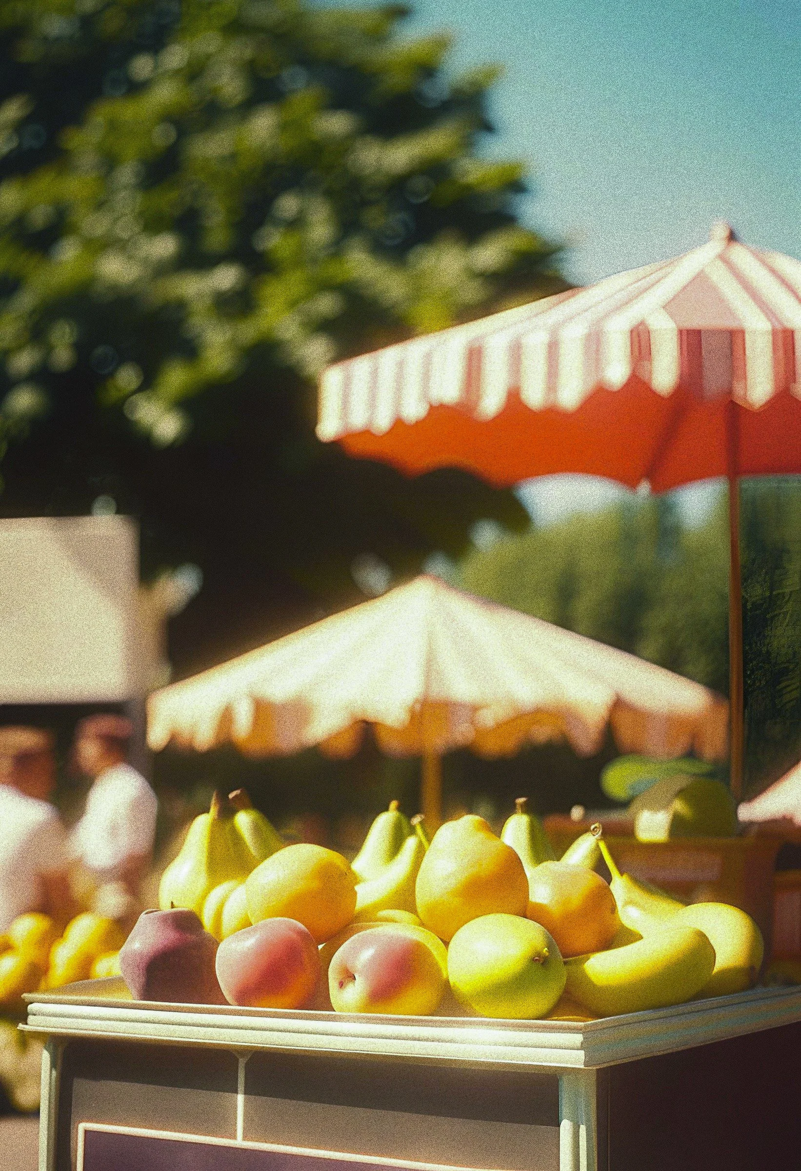 FRUIT STAND — LEFT HAND SUPPLY
